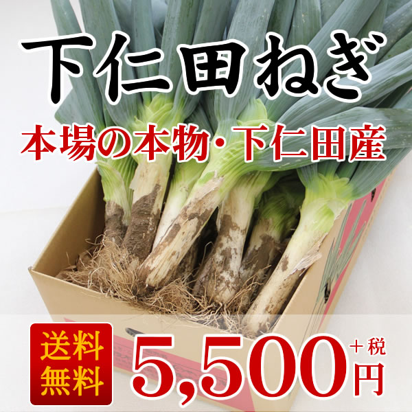 下仁田ネギ　本場馬山地区産 000000000115_E1AVi1q.jpg