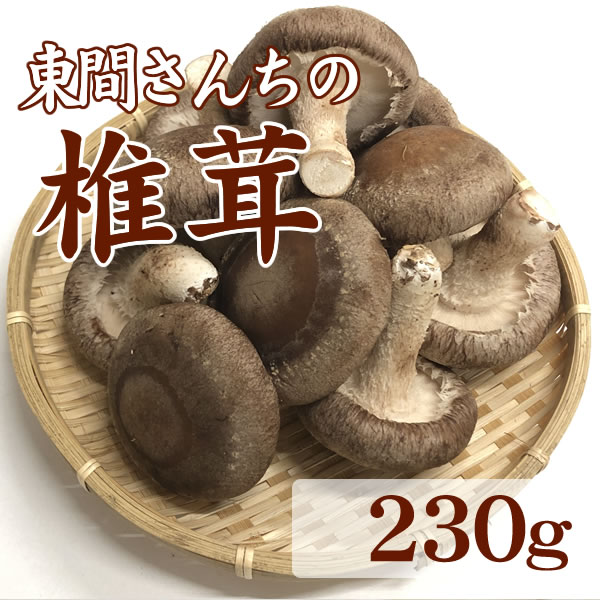 しいたけ 徳島県産希少品種 三ツ星しいたけ恵 徳島椎茸ファーム (徳島県産) 野菜