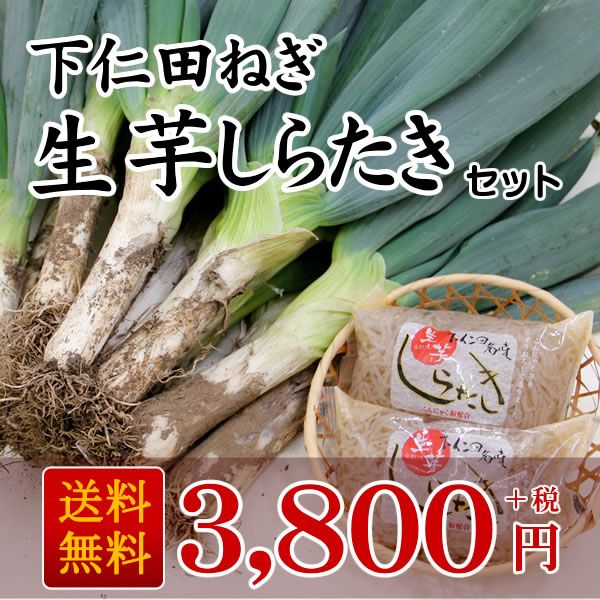 Ĥͤ򤷤餿å[NG-K]̵ۡ˾̵