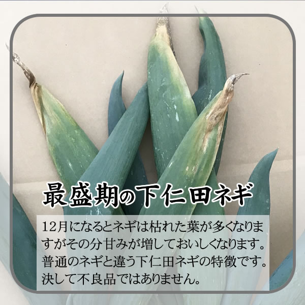 ڲĤͤȲĥݡΤָ֤ॻåȡǬڤ饻å:B̵ۡ¢ء