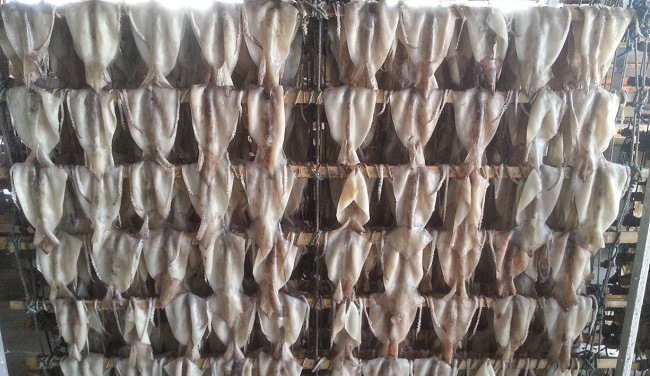 前浜物するめ（5枚）北海道松前産 | するめ Sun Dried Squid | 1832年