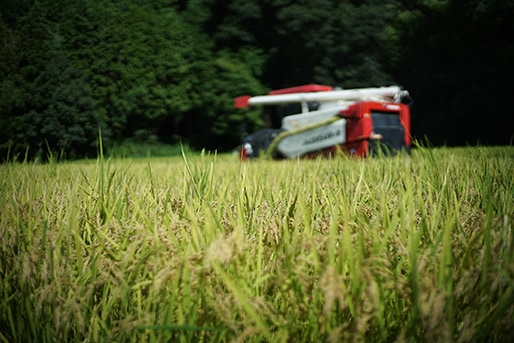 新米入荷！【10％OFF】暮らしの応援特価！然の膳米（令和7年産） 5kg