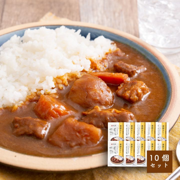 然の膳 薬膳カレー（10個セット）