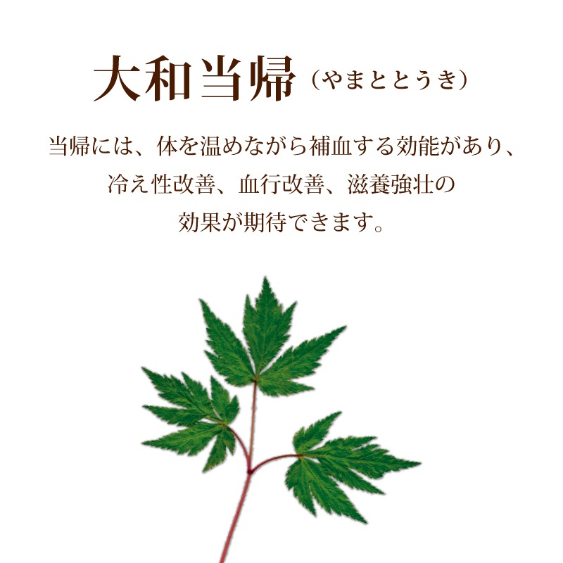 薬膳お試しセット（薬膳ほうれん草カレー×2個　黒豆薬膳茶1個入り）