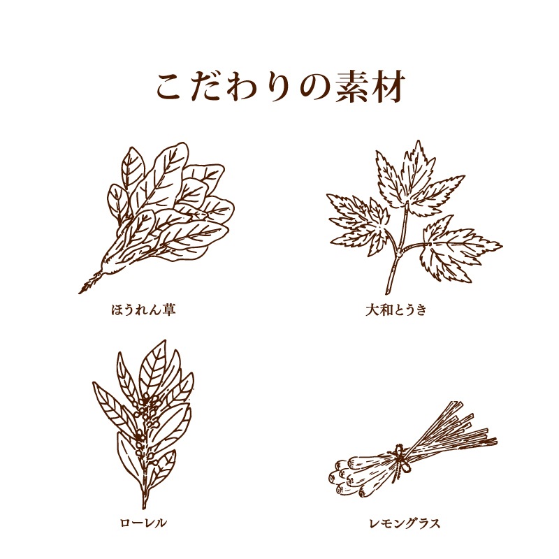 薬膳お試しセット（薬膳ほうれん草カレー×2個　黒烏龍薬膳茶1個入り）