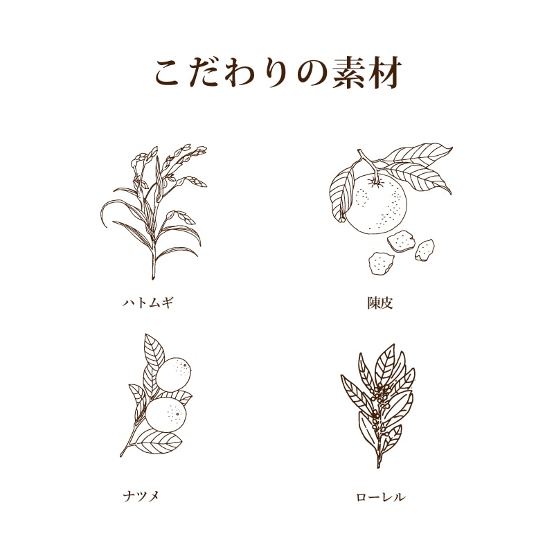 【夏季限定】夏の薬膳お試しセット（薬膳カレー×1個　薬膳ほうれん草カレー×1個　黒豆薬膳茶1個入り）