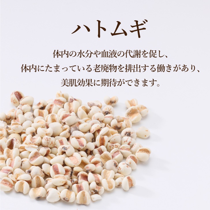 【送料無料】薬膳カレーお試しセット（薬膳カレー×1個　薬膳ほうれん草カレー×1個　薬膳トマトカレー×1個入り）