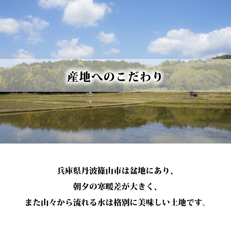 新米入荷！【10％OFF】暮らしの応援特価！然の膳米（令和7年産） 5kg