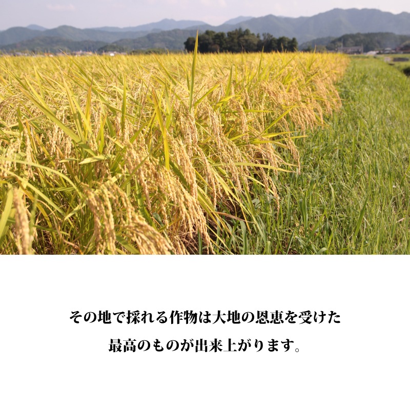 新米入荷！【10％OFF】暮らしの応援特価！然の膳米（令和7年産） 5kg