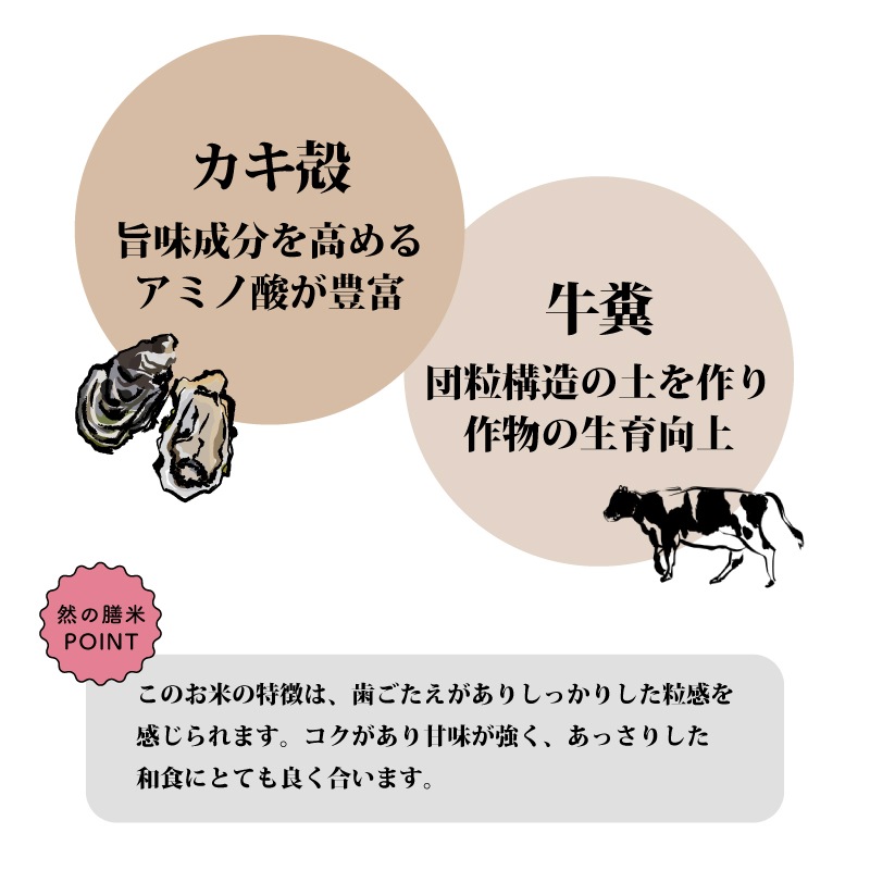 新米入荷！【10％OFF】暮らしの応援特価！然の膳米（令和7年産） 5kg