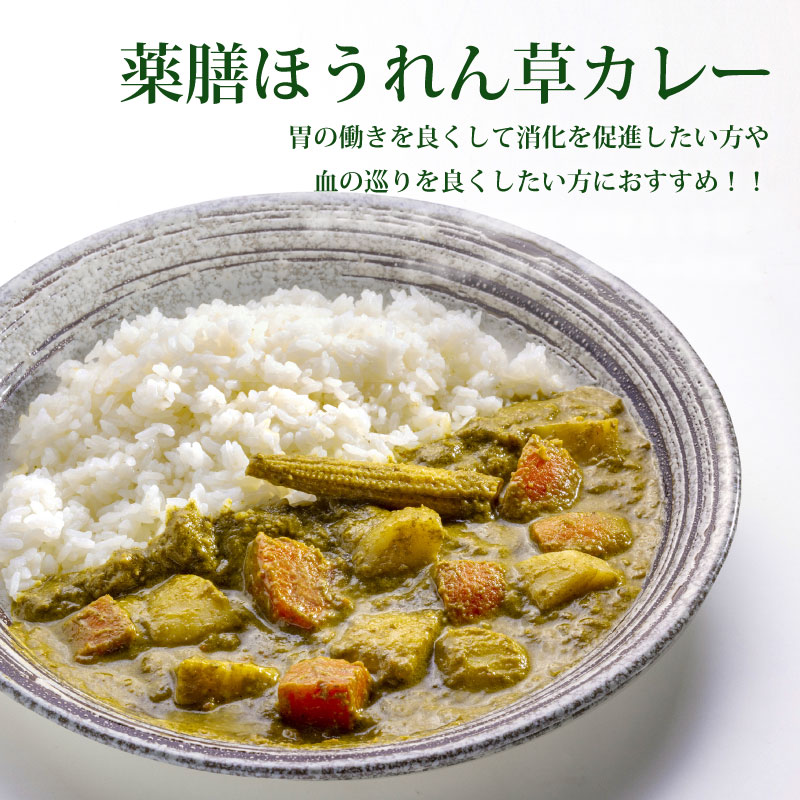 ★選べる★ レトルトギフトセット(お好きなレトルト2種×各5袋 計10袋入り)【ラッピング代無料】