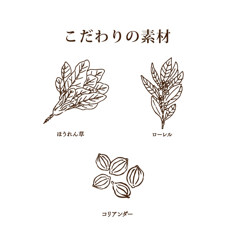 然の膳 薬膳ほうれん草カレー