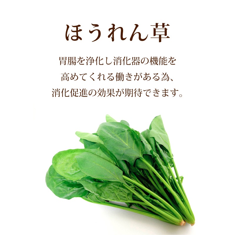 然の膳 薬膳ほうれん草カレー (10個セット)