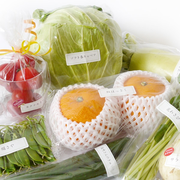 【専用】野菜様 次回12/16（火）出荷】特撰野菜セット「NAGOMI」 の通販｜「tuchinokoe