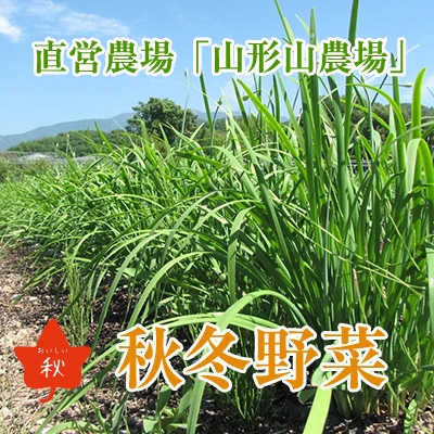 ��10���ľ������ֻ�������ڡפȡֻ����νܡ�