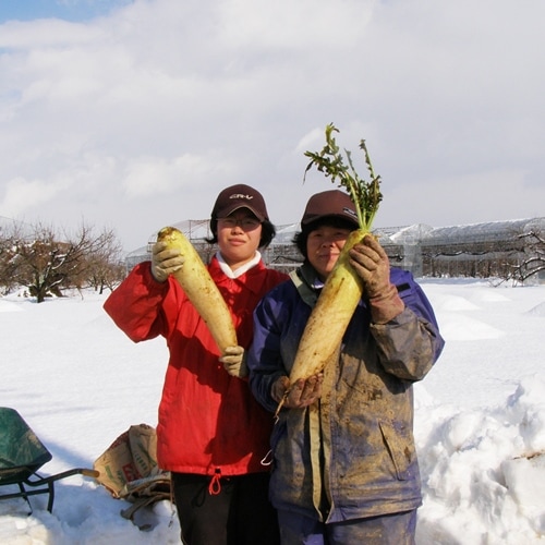 1ܡۤޤβڡ֤äȤ纬1.2kg