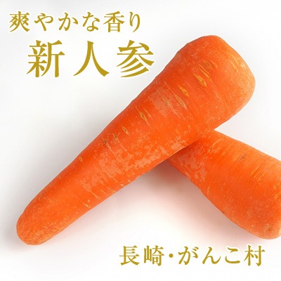 4月下旬～】春・新人参400g（熊本・長崎産） の通販｜「tuchinokoe