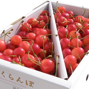 佐藤錦」 秀優L玉以上 バラ詰め 900g の通販｜「tuchinokoe」おすすめ