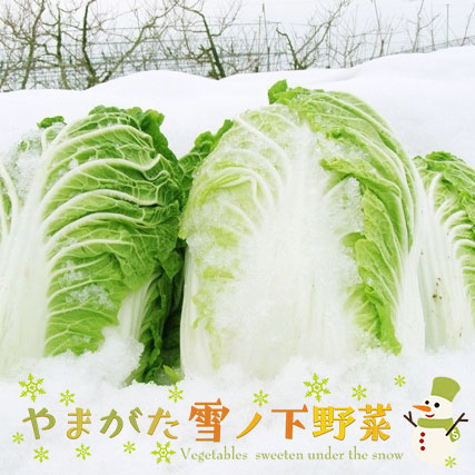 12/23вͽۤޤβڥåVol.01