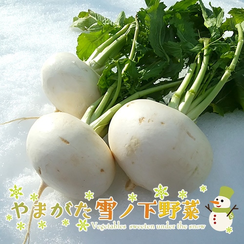 1ܡۤޤβڡβ礭ʤ̵֡600gʾ