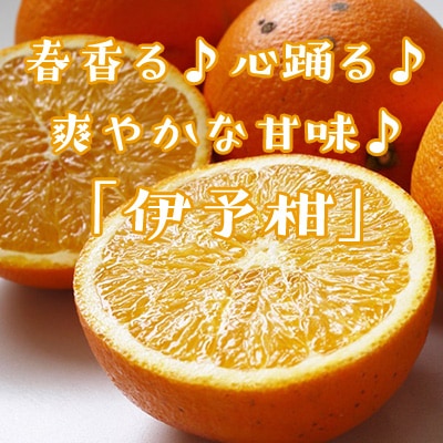 1ܡδ̡۽դƤְ֡ͽ