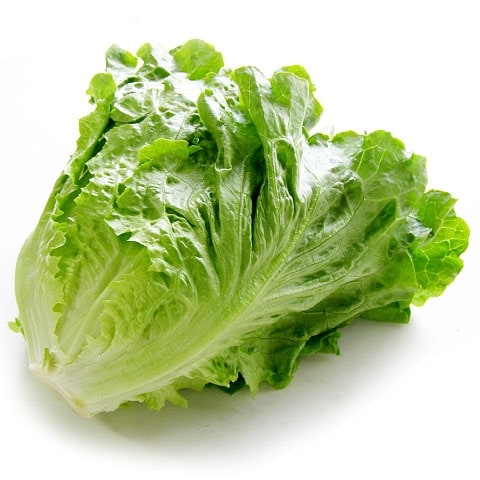 ��5����ܡ��ۥ쥿������̣������1��