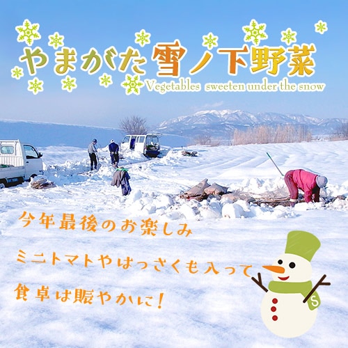 ��3��ۤ�ޤ�����β���ڡʡܤ�������������