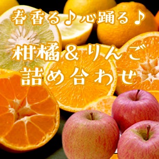 【公式】フジのお歳暮・冬ギフト 2月上旬～の柑橘】柑橘とりんごの詰め合わせ の通販 アクセサリー