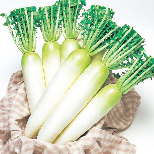 ��3��۾��⺽�֥���ꥷ����纬