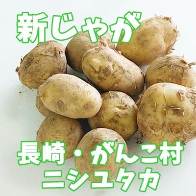 5ܡۿ㤬֥˥楿1kgĹꡦ硦ܻ