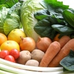 ��ڥ��åȡ��ե��ߥ꡼�����ס�4��5�Ͳ�²��1��Τ�