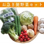 ����ڥ��åȡ� ���ޤ�����ڥ��åȡʥץ�������1���Ϥ���