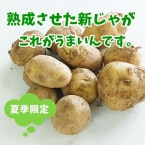 7ܡ۽㤬֥˥楿1kgĹ껺