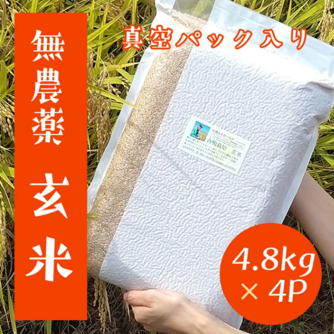 ڹơ ̵ָơ4.8ԡ4PʿѥåæǺ