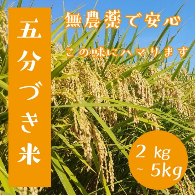 ڹơ̵ָʬŤơסR6ǯơ