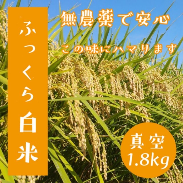 合鴨米】無農薬「白米」真空パック入り の通販|「tuchinokoe 合鴨米】無農薬「白米」真空パック入り の通販|「tuchinokoe