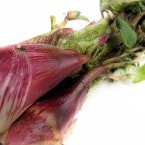 ��4��ܡ��ۻ����� 1��100g����