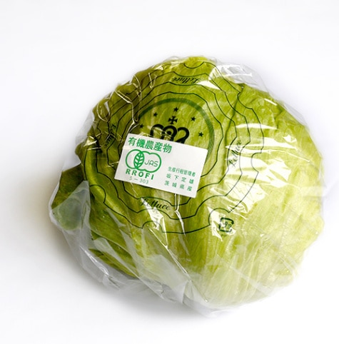 4月】有機玉レタス（有機JAS・茨城県産）1玉 の通販｜「tuchinokoe
