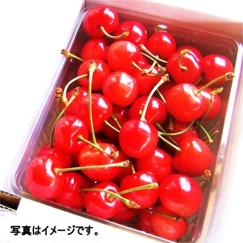 ��������ե��åȡ���ͭϢ�����åե��쥯�ȡۻ�������������