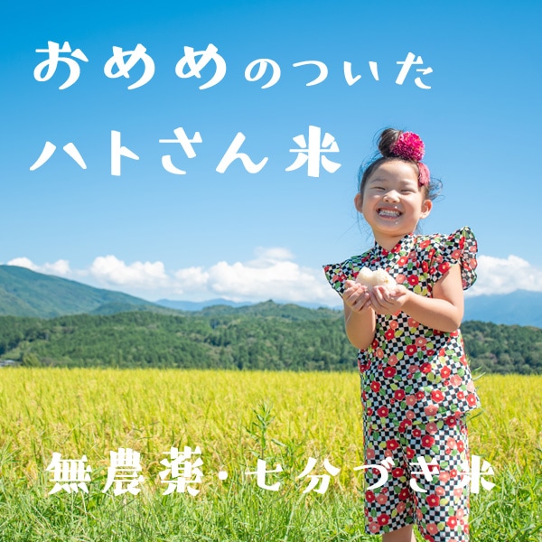 ȷολݰवΤơ֤ΤĤϥȤơ