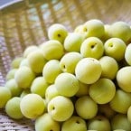 6ܡ7ܡߡò4.8kgߴѡ