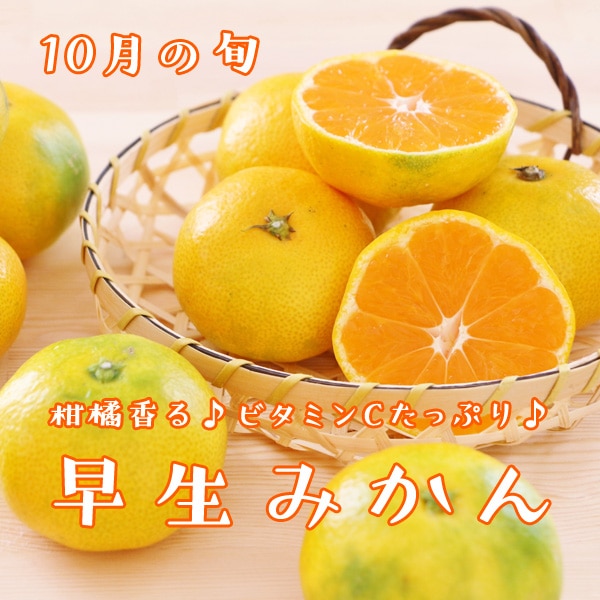 熊本県産極早生みかん20kg 熊本県産極早生みかん20kg 楽天市場】極早生 みかん 20kgの通販