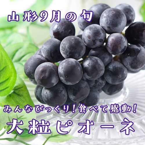 ��9���ܡ���ܡ���γ�ԥ����� 1kg 1��2˼�ʻ�������