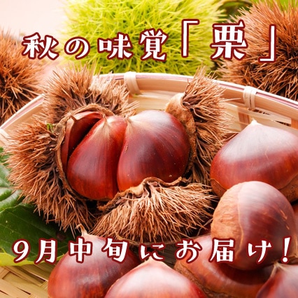 ��9����ܡ����ܡ۽���̣�Сַ��סʻ�����/��γ900g�ʾ��