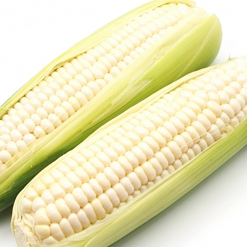 9ܡۥۥ磻ȷϥѡȥ򤤤Ρ10