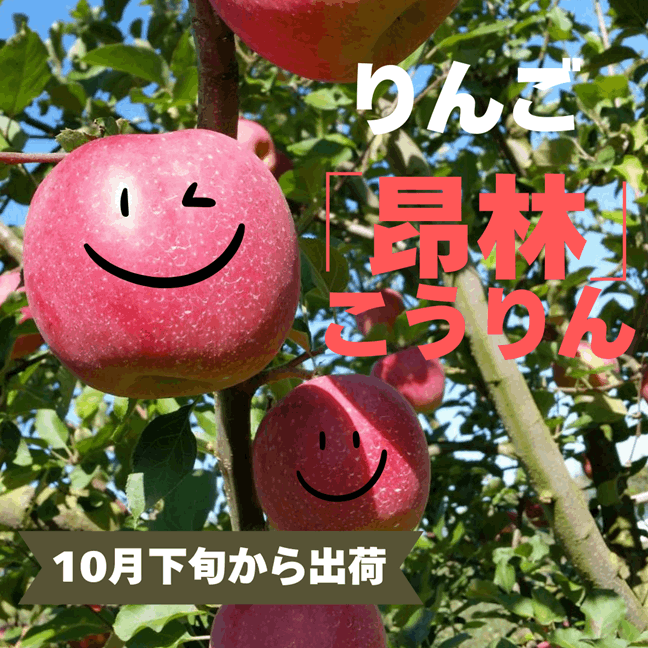 10月中旬～】大沼農園の早生ふじりんご「昴林」16-18玉前後 の