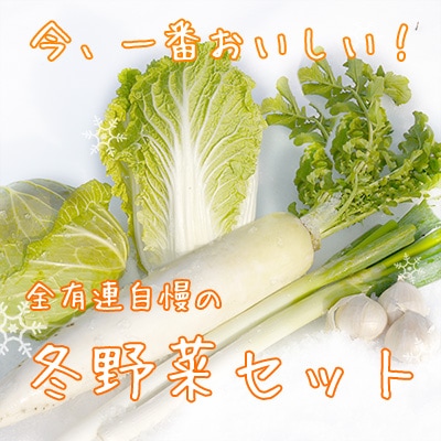 12/20в١ۻڡե롼ĥå2024