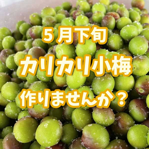 ��5��ܡ۾��ߡ����ߡ�L�ʾ塦���ꥫ�꾮���ѡ�