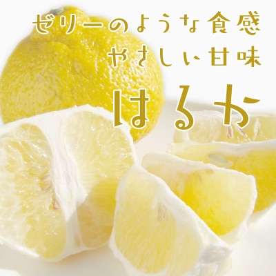 ��2��ܤδ��̡ۤפ�פ뿩�� ����Ρ֤Ϥ뤫��3kg