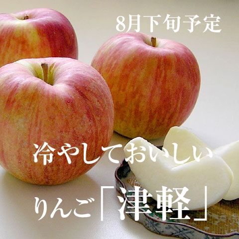 8月下旬～9月上旬】冷やしておいしいりんご「津軽」10～14玉前後 の